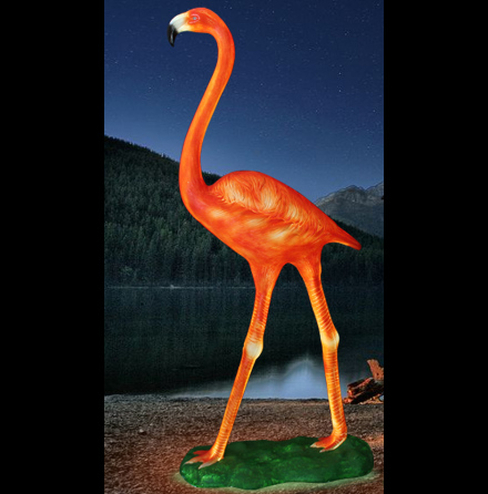 Flamingo